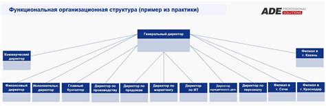 Уникальность альтернативы ведущего финансиста: примеры из организационной практики