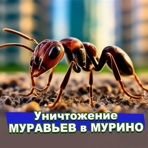 Уничтожение муравьев в гнездах