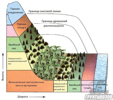 Уральский климат и особенности почвы