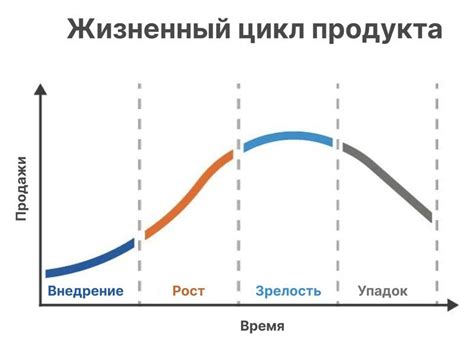 Усовершенствование жизненного уровня: свежие предложения и перспективы