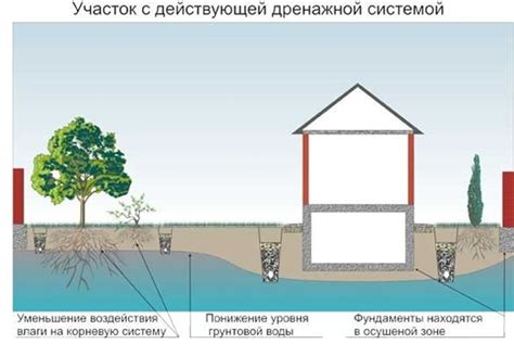 Установка колодца для отвода воды на выбранном участке