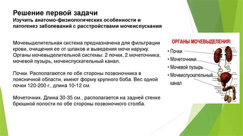 Уход за пациентами с нарушениями функции левой половины нижней части мозга