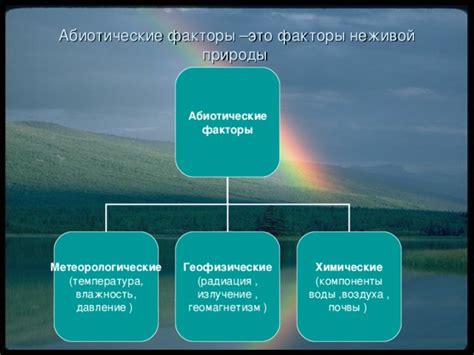 Факторы, привлекающие медведя и вызывающие его агрессию в окружении природы