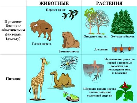 Факторы, способствующие адаптации организмов