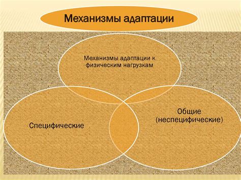 Физиологические механизмы, приводящие к увеличению теплового режима организма