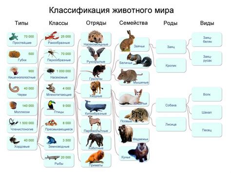 Физиологические особенности разных видов: примеры из животного и растительного мира