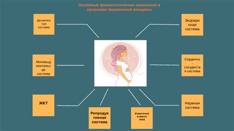 Физиологические преобразования, происходящие в организме во время отсутствия питания