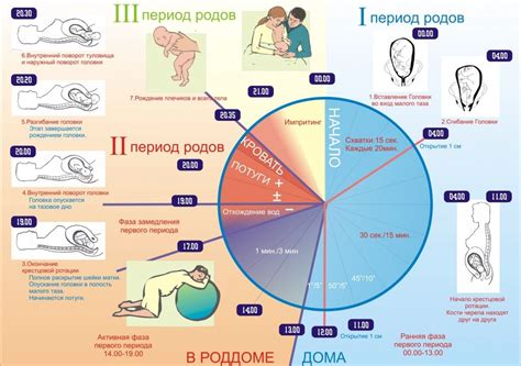 Физиологические признаки будущих родов