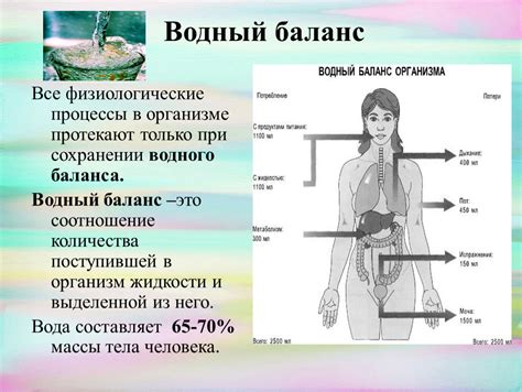 Физиологические процессы, поддерживаемые водой, невозможно заменить соками: анализ природных функций