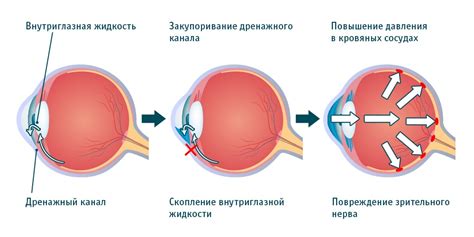 Физиология глазного давления