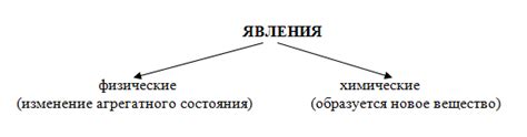 Физические признаки и феномены