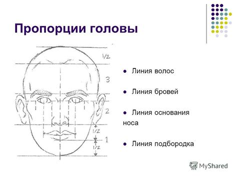 Формирование головы и мордашки