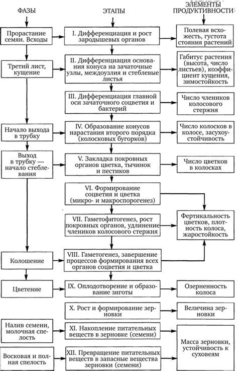 Формирование капельных элементов