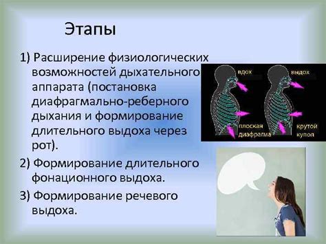 Формирование речевого аппарата