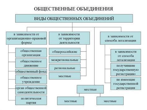 Формы социальной организации