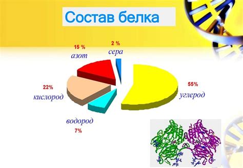 Функции белка в помидорах