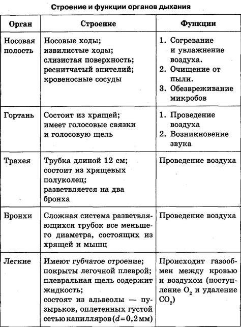 Функции глазков и их значение