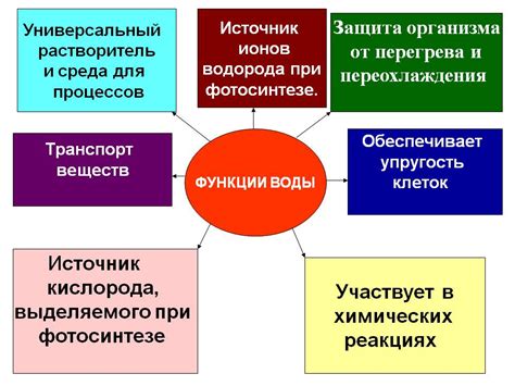 Функции гомеостаза в живых системах