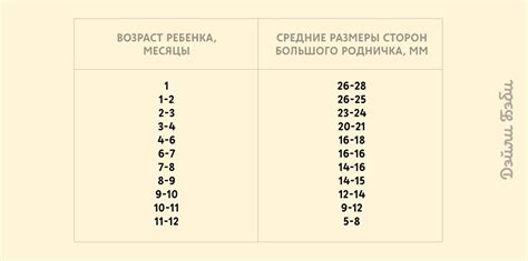 Функции темечка