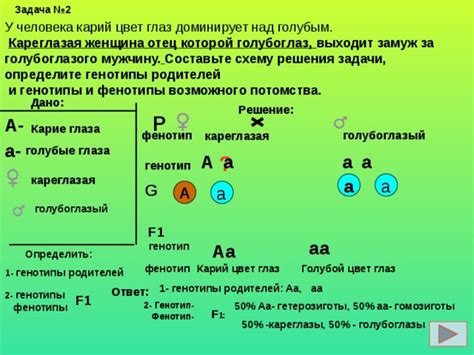 Характеристики гомозиготы