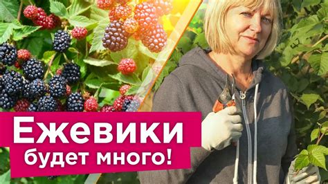 Хранение и уход за свежими ягодами