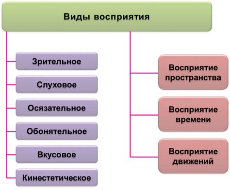 Целостность восприятия в психологии