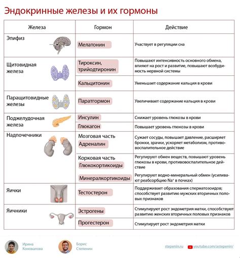 Цель и функции морозилки