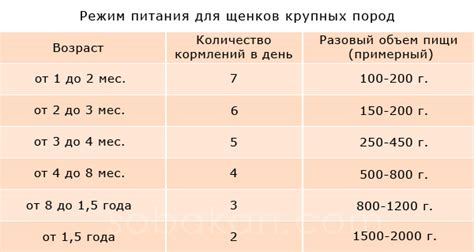 Частота кормления: оптимальный график питания для развивающегося организма