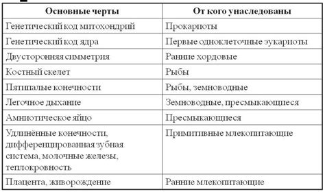 Человек и Люди: Основные различия