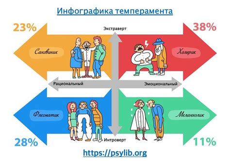 Чем отличаются сангвиник, флегматик и меланхолик