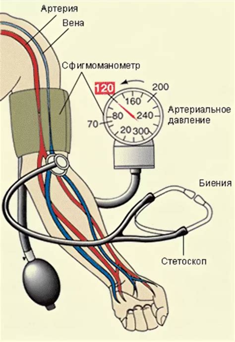 Что означает артериальное давление с нормальным пульсом?