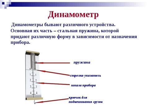 Что такое динамометр и его принцип работы