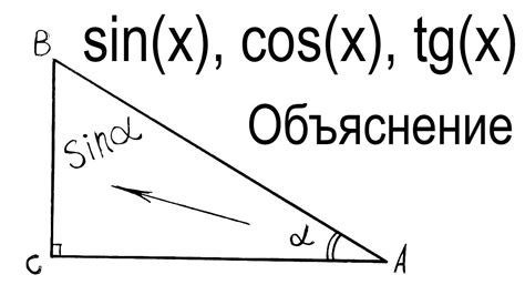 Что такое косинус?