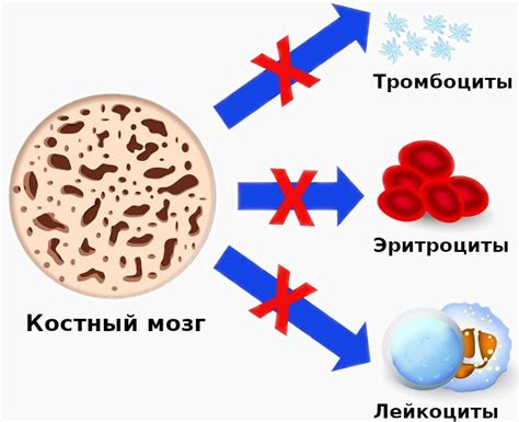 Что такое нарушения функций кроветворения