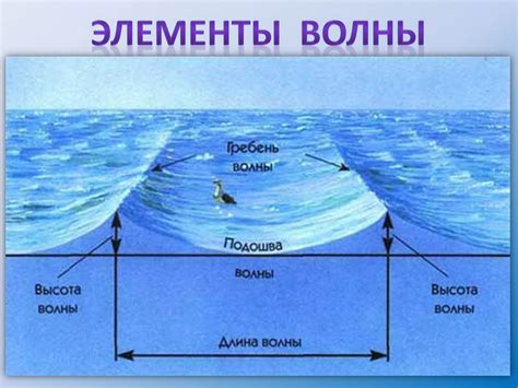 Что такое прилив и отлив