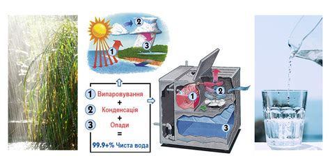 Шаг 2: Начните процесс очистки