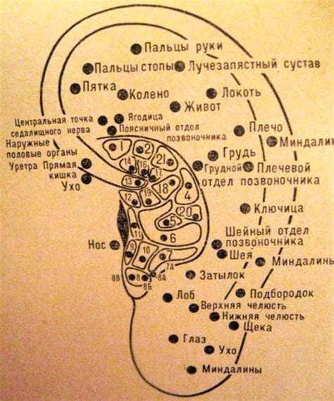 Эволюция значимости украшения в ушной раковине в культуре цыган