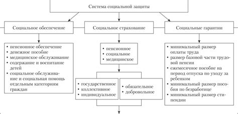 Эволюция и трансформация основных принципов защиты социальных интересов