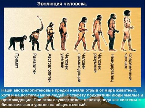 Эволюция человечества: история в цифрах