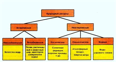 Экологические факторы, влияющие на появление коричневого налета на крыжовнике