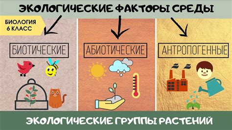 Экологический фактор и избыточное потребление