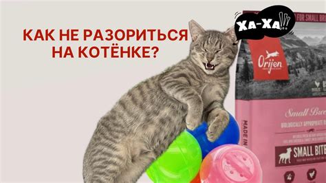 Экономия на разбавителе: возможно ли?