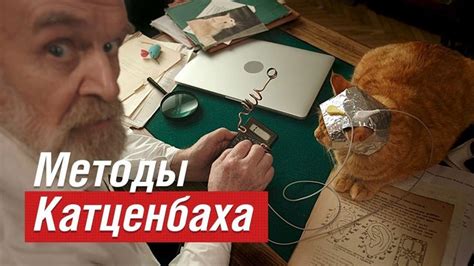 Экспериментальный подход и методы