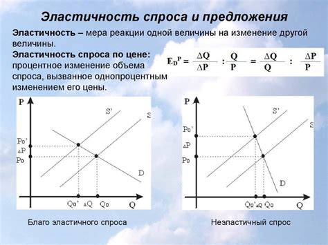 Эластичность спроса: понятие и виды