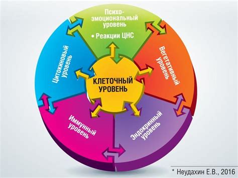 Элементы успешной хронотерапии