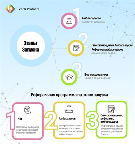 Этапы запуска реферральной системы в рейде