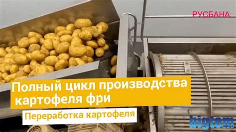 Этап 1: Подготовка бульона к заморозке