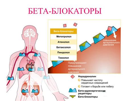 Эффект длительного практикования