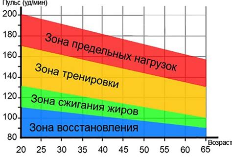 Эффект имбиря на пульс