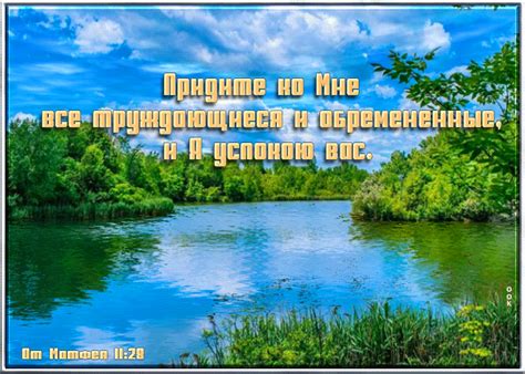  Значение и назначение Пинтереста: творческая вдохновляющая платформа 